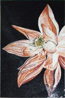 花卉馬賽克 (FL189)